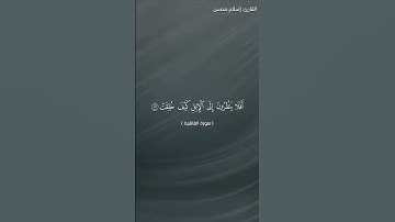 سورة الغاشية بصوت القارئ: إسلام محسن - نسخة الجوال - Surah Al-Ghashiyah