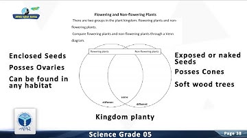 AFAQ Iqbal series Grade-5 Science Unit 2 (Page# 35-40) | Student’s Resource Pack | Teaching Videos.