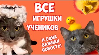 Игрушки Учеников Школы Котиков