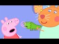Peppa Pig Full Episodes | Dr Hamster’s Tortoise | Cartoons for Children