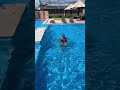 Hidroginástica