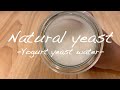 【自家製天然酵母】ヨーグルト酵母液の作り方　Yoghurt yeast water