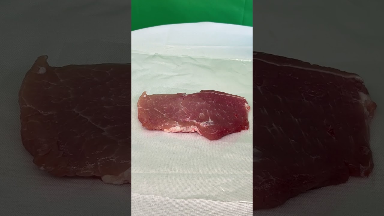 TS7600 Spectrophotometer Test Meat Products