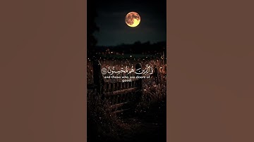 تلاوة خاشعة جميلة بصوت ماهر المعيقلي ارح سمعك#ماهر_المعيقلي#اكسبلور_فولو