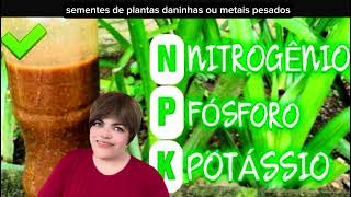 Assim você aprende:Descubra o Poder Transformador do BAT-GUANO, uma Jornada de Sucesso na Jardinagem