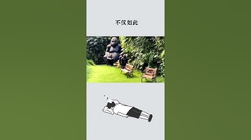 所以，清华大学到底多么大呀？#校园 #清华大学#So how big is Tsinghua University?Campus Tsinghua University