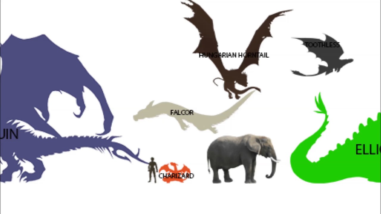 Dragon Size Chart