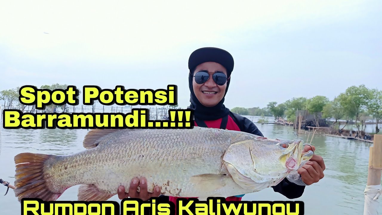 Akses menuju RUMPON ARIS NGEBUM...!!! spot potensial barramundi...!!!