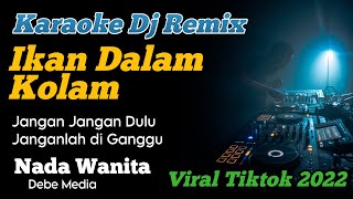 Karaoke Ikan Dalam Kolam DJ Remix Nada Wanita Jangan Jangan Dulu