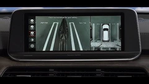 Surround View Monitor (SVM)