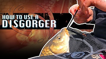 How to Use A Disgorger With Guru