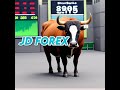 forex JD Live Stream