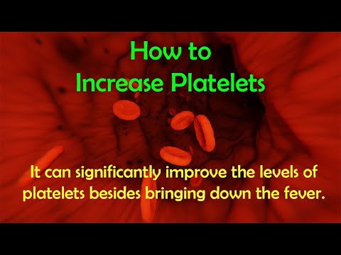 How to Increase Platelet Count Fast