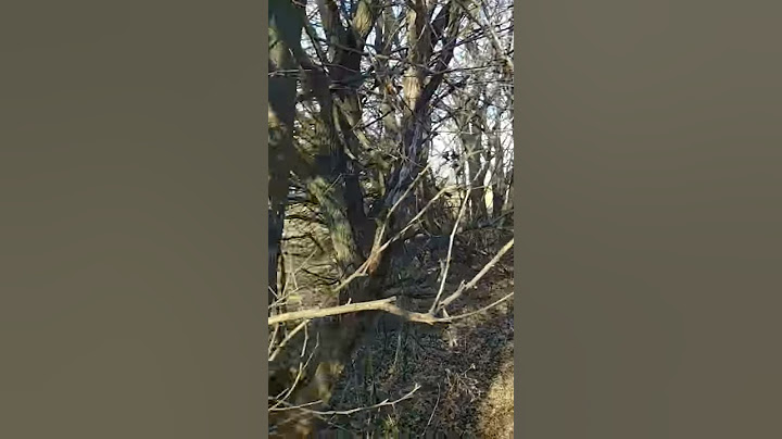 There is Definitely Evidence of the Bigfoot Forest People in and around Omaha Nebraska