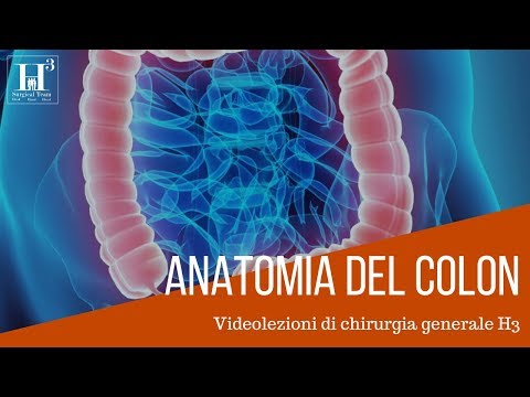 Video: Anatomia, Diagramma E Funzione Del Colon Discendente - Body Maps