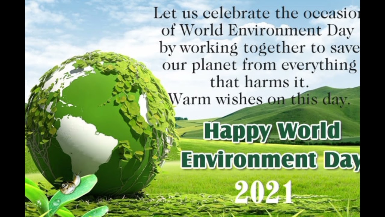 Happy World Environmental Day Youtube