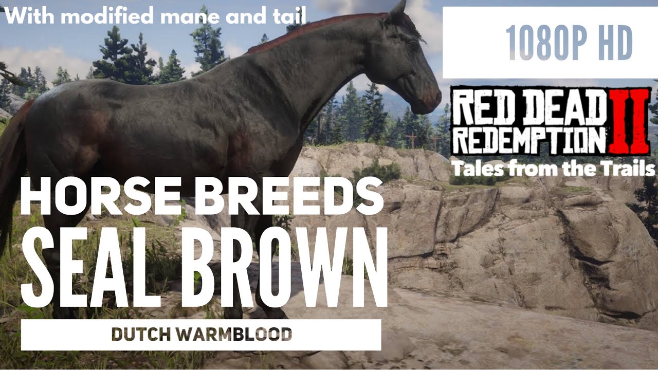 Red Dead Redemption 2 Horse Breeds Modified Seal Brown Dutch Warmblood 1080p Hd Ps4 Pro Youtube