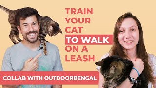 How to Walk Your Cat on a Leash in 4 Steps (Collab with OutdoorBengal)