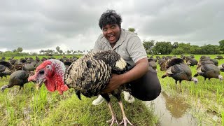 வான்கோழி வேட்டை|Turkey Hunting and Cooking|அடை மழையில் வேட்டை|Village Food Safari|Suppu