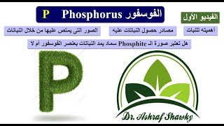 (102) الفوسفور (1) P | أهميته ومصادره وصور امتصاصه من خلال النبات | د.أشرف شوقى