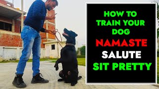 Labrador Dog training  How to Train your Dog NAMASTE / SALUTE / SIT PRETTY (Hindi) 4k