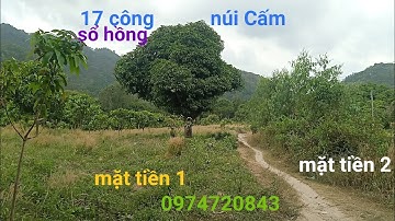 17 công có 2 mặt tiền đường đi ở giữa, gần cổng soát vé xe lên núi Cấm view đẹp | 550tr/ công