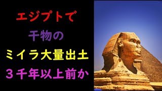 エジプトで干物のミイラ大量出土　３千年以上前か screenshot 3