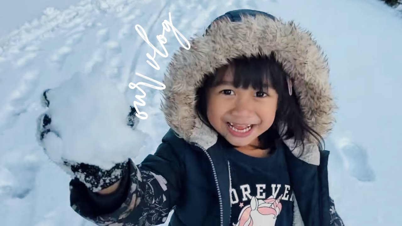 driving to winter wonderland (de brabantse festival  2026)