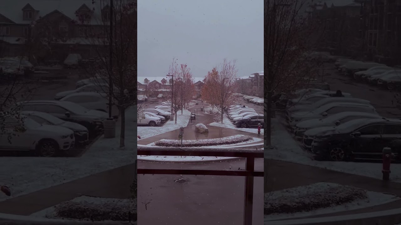 #trending #automobile #tiktok #love #new #youtube