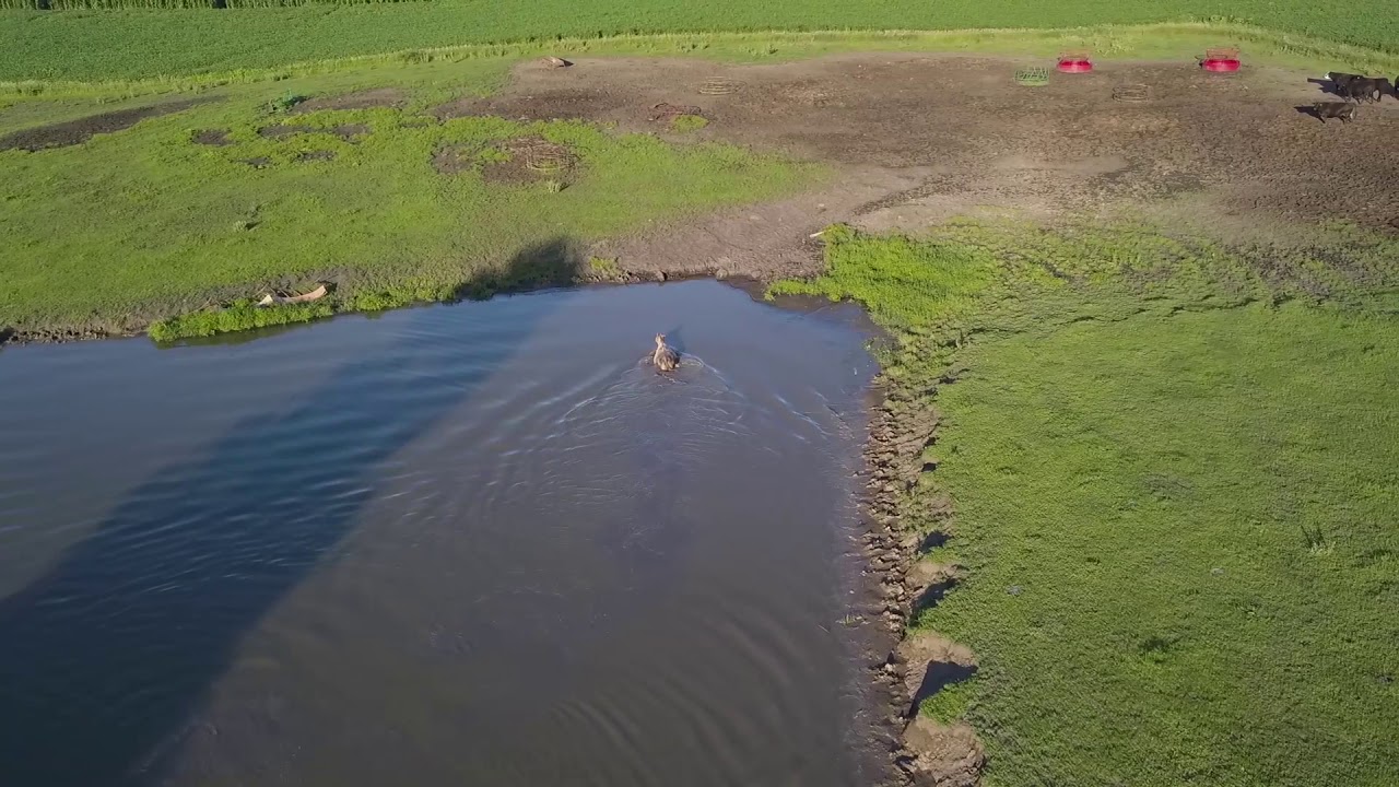 Iowa Drone Video Producer & Videographer