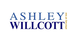 Dissecting a Child Welfare Case   Part 2 HD 1 Net Worth