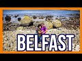 8 UNFORGETTABLE Things To Do &amp; See in Belfast