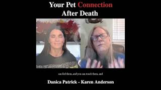 Karen Anderson | You Pet Connection After Death | Ep. 228 #shorts
