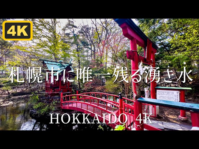 黄泥街 残雪著 白水社 41WauYc7LFL._AC_SY200_QL15_.jpg