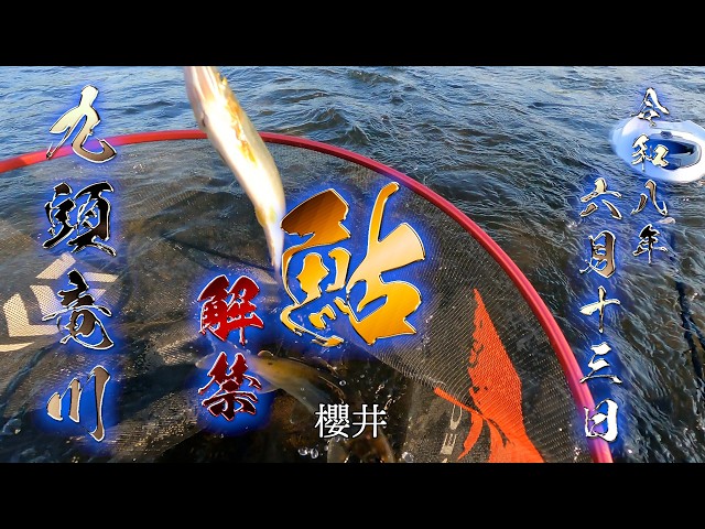 Celebrating Ayu Season Opening] Kuzuryu River Central: Tomozuri