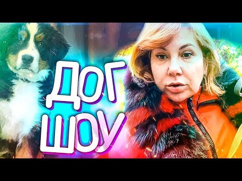 Дог-Шоу | Марина Федункив Шоу
