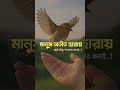 মানুষ অতীত হারায় শ্রেষ্ঠ কিছু পাওয়ার জন্যই। #fypシ゚viral #videos #newsong #shorts