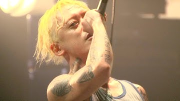 ロックバンド「Pay money To my Pain」のドキュメンタリー映画『SUNRISE TO SUNSET』予告編