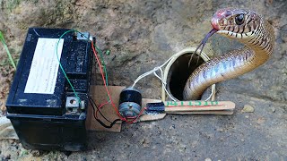 Crafting Underground Snake trap Using Tools Motor _ Snake Trap Working by da ra 4,826 views 9 months ago 8 minutes, 19 seconds