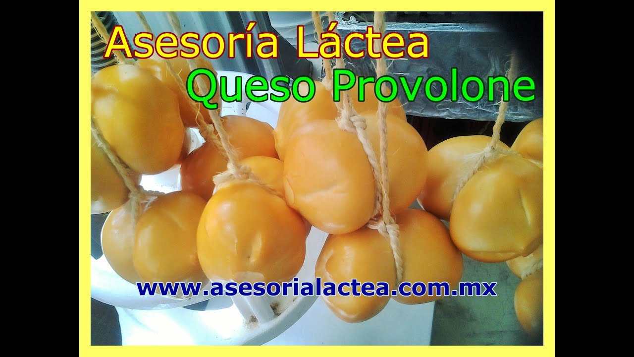 Elaboración de Queso Provolone