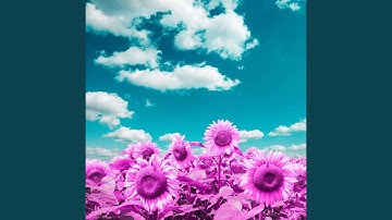 Dashing Backdrops for Smooth Timbers