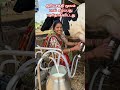 solar system milk system #funny #marinemystery #treasuresearch #shorts