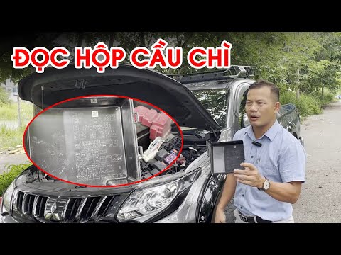 Video: Chuyên gia Cầu chì chuyên dụng 6