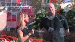 Cleveland Browns vs. Pittsburgh Steelers preview with Mary Kay Cabot and Tom Reed