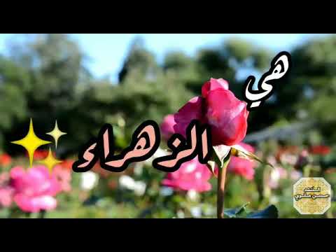 هي الزهراء فاطمة البتول اداء المنشد حسن علوي الكاف