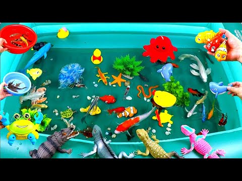 Cute Animals Collection, Crocodile, Crab, Shark, Turtle, Duck, Whale, Clownfish, Snake, Swordfish