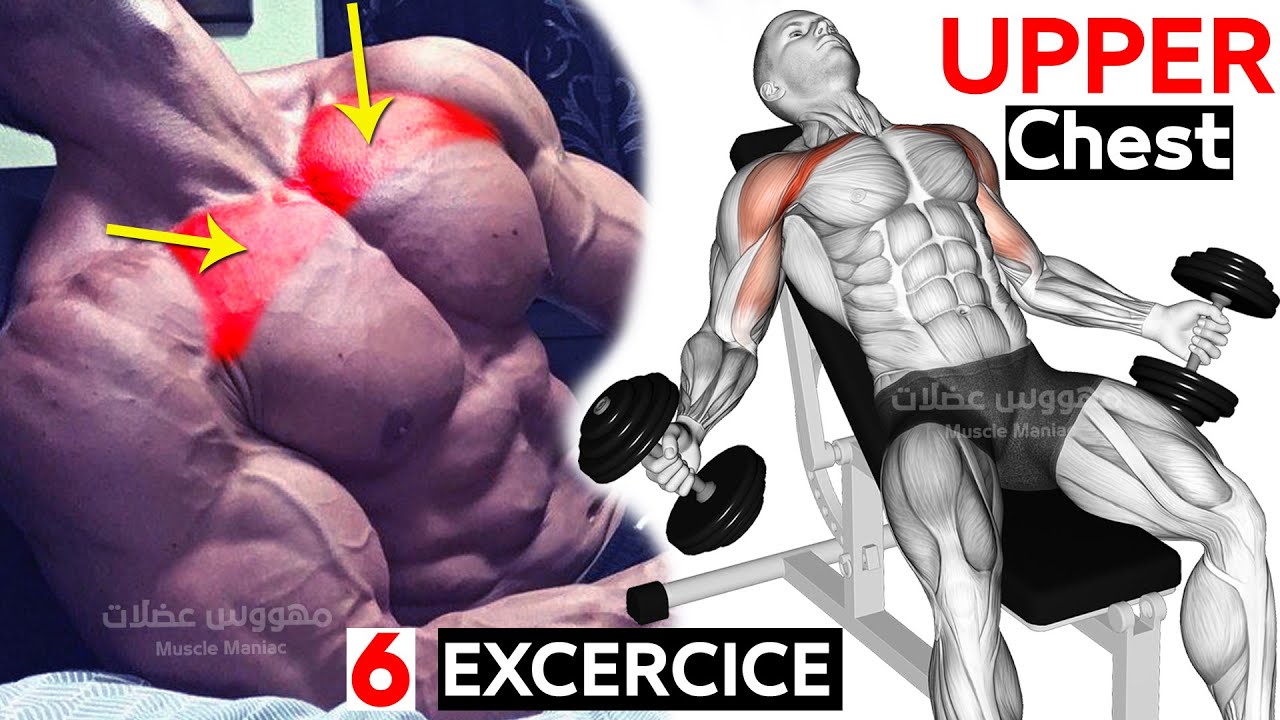 BEST 6 EXERCISES "UPPER CHEST" Workout 🔥 - YouTube