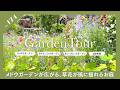🕊Garden Tour🕊174：入り口のバラのアーチを抜けるとメドウガーデンが広がる、草花が風に揺れるお庭