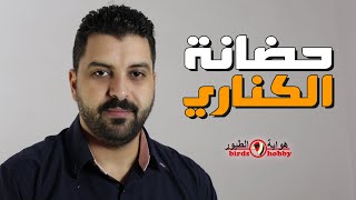 كم تستغرق مدة حضانة بيض طيور الكناري ؟ معلومات حول إنتاج طيور الكناري