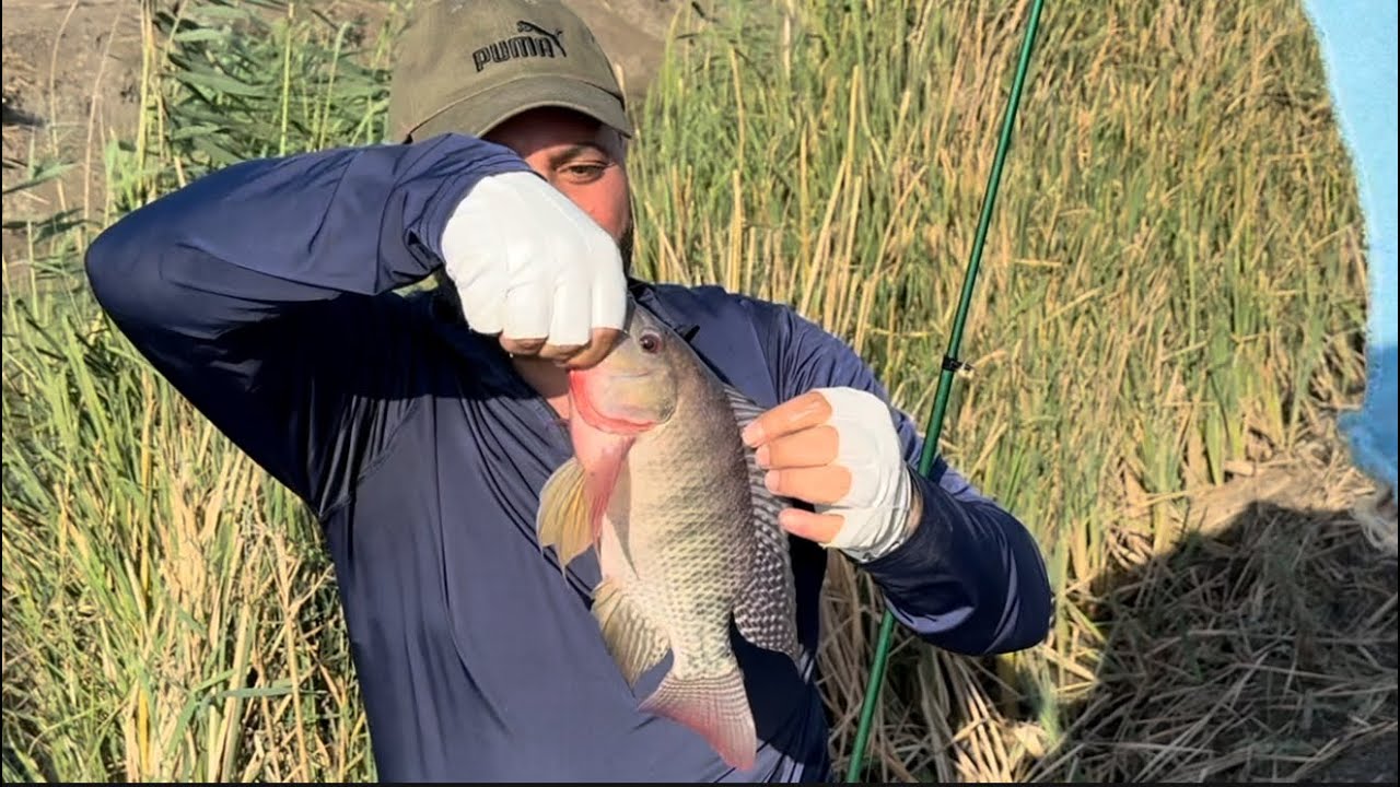 الطريقة السحرية لصيد السمك بالغله في الوقت الحالي